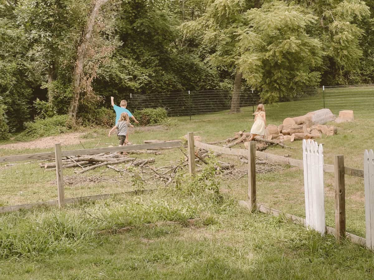 Children playing on logs